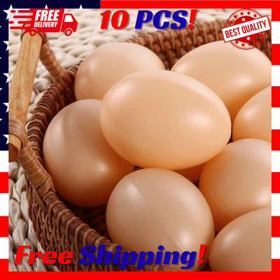 10×Dummy Faux Fake Chicken Eggs Get hens to Lay Eggs Poultry Mannequin Nest Eggs