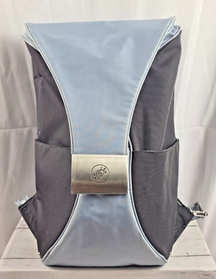 Pacsafe Travel Security Dailysafe B100 w/Exomesh, Blue & Gray w/Silver Hardware