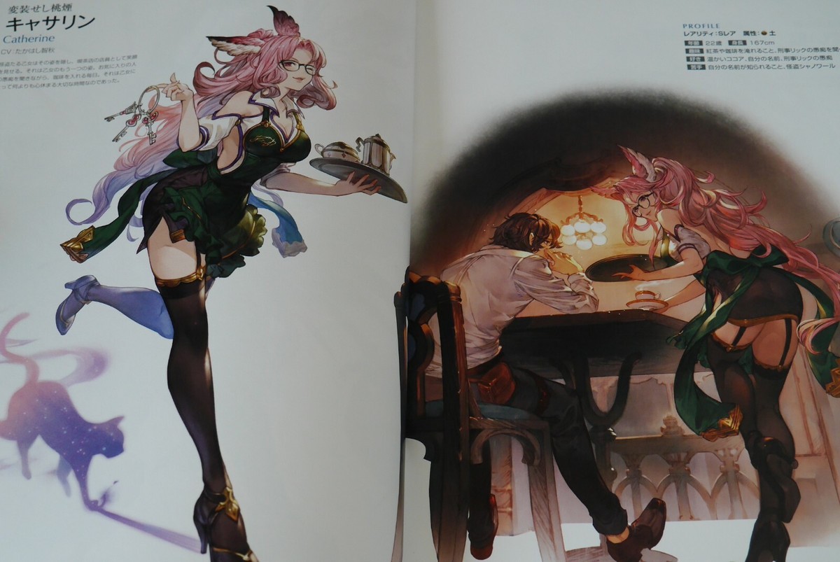 JAPAN Granblue Fantasy Graphic Archive VI (Not With Serial Code