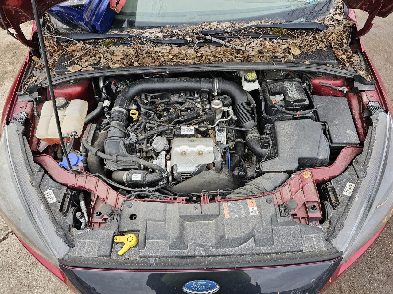 Picture 4