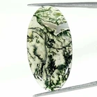 18.20Cts Natural Moss Agate Oval Cabochon loose Gemstone