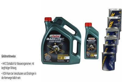 6L Castrol Magnatec Stop-Start 5W-30 C2 2xLeak-Stop+Motor Doctor+Motor Flush