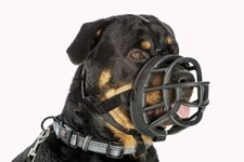 Heavy Duty Extra Large Dog Muzzle Prevent Biting Chewing . Soft Mesh Basket