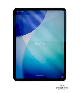 iPad Pro 11 1st Gen | eBay