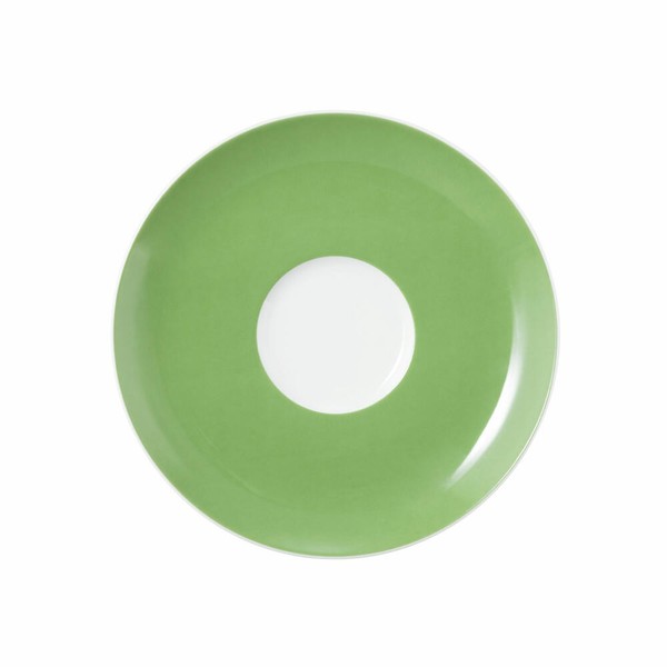 Seltmann Weiden Liberty Kombi-Untertasse Unterteller Meadow Grasses Green 16.1Cm-image