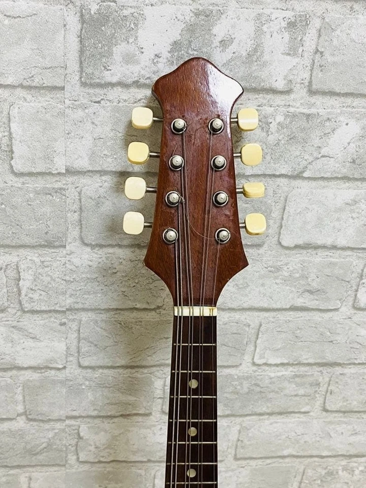 Mandolina SUZUKI Nº 228 (Hecho en 1969) con estuche usado de Japón Foto 4 de 4