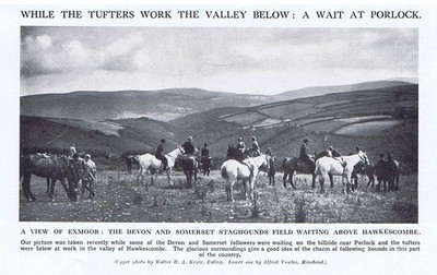 The Devon & Somerset Staghounds Field Above Hawkescombe - Vintage Print 1926