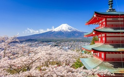 Wandbild: Mt. Fuji mit Chureito-Pagode im Frühjahr, Fujiyoshida, Japan [...]