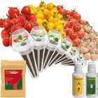 Heirloom Strawberry Cherry Tomato Seed Pod Kit for Hydroponic Systems