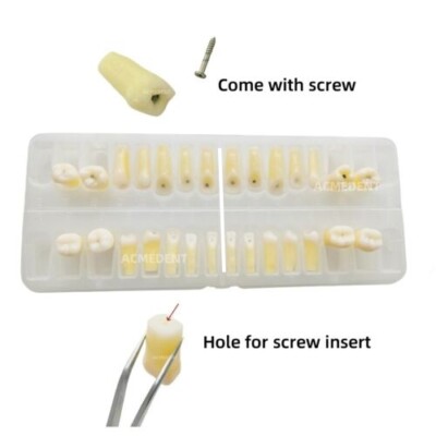 28Pcs Dental Caries Remove Teeth Decayed Removing Practise Model Dentist Student
