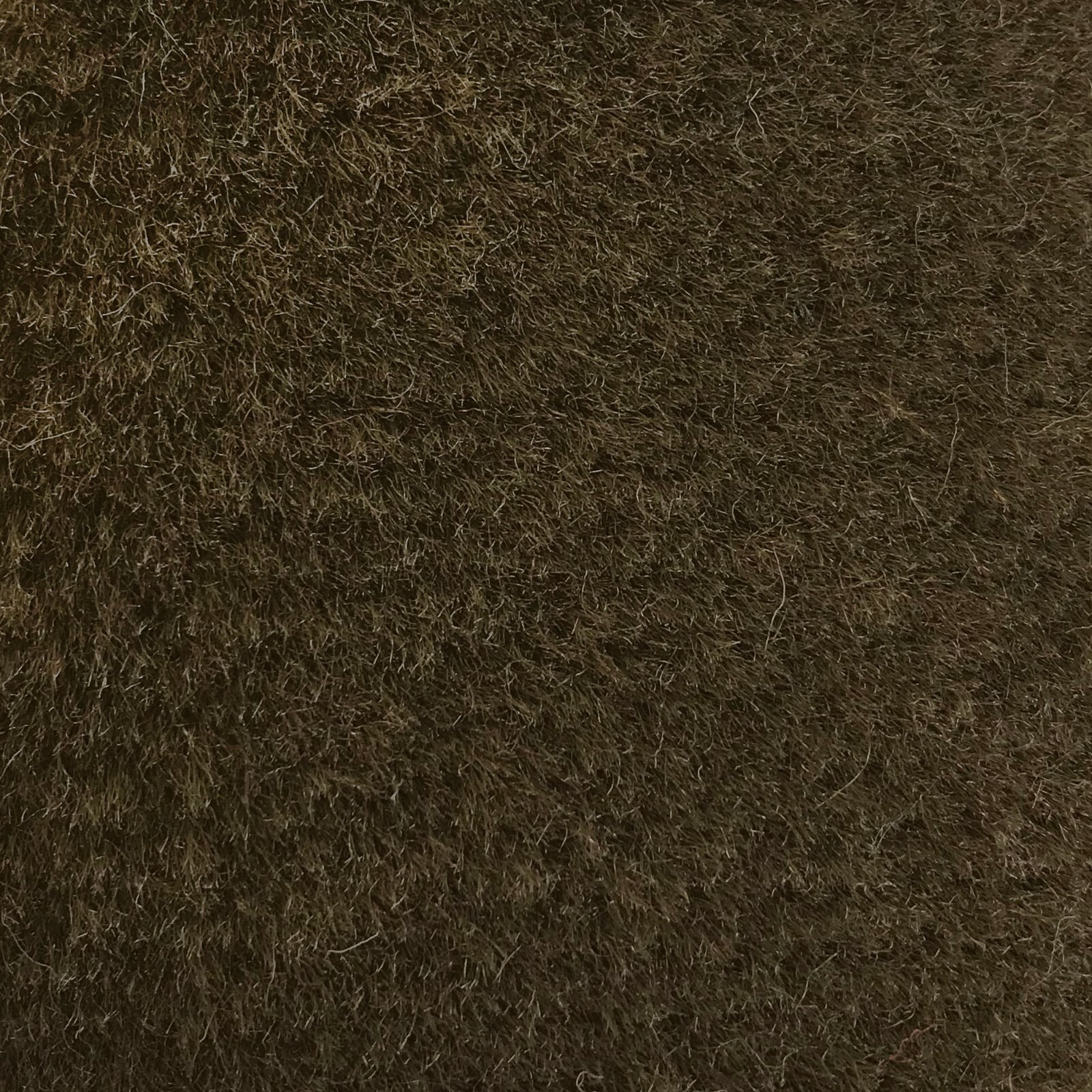 Picture 16 of 24