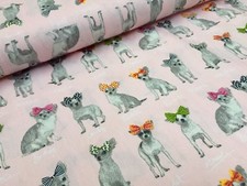 CHIHUAHUA DOG 100 Cotton Poplin Fabric Animal Dogs Material -150cm wide - PINK