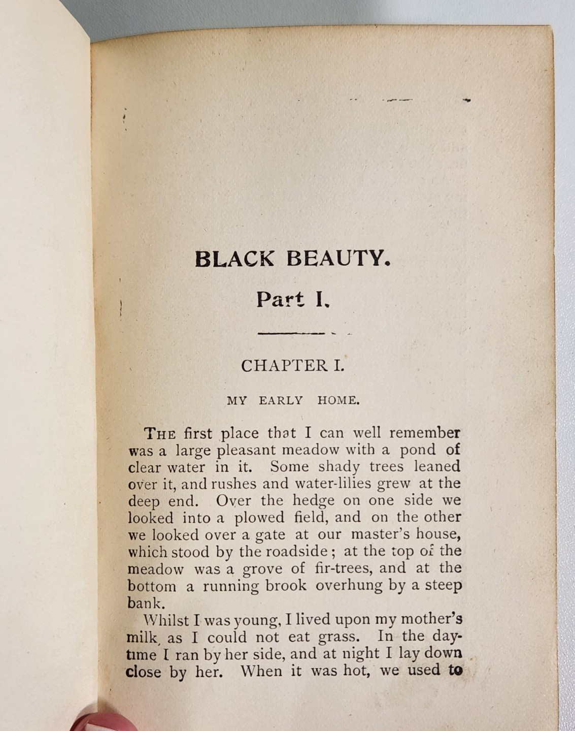 Black Beauty by Anna Sewell 1899 Donohue, Henneberry & Co Antique Classic Novel