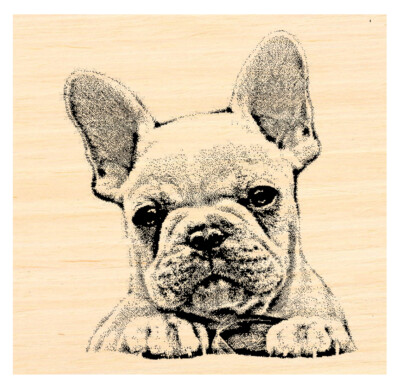 P31 French Bulldog NEW Rubber stamp WM