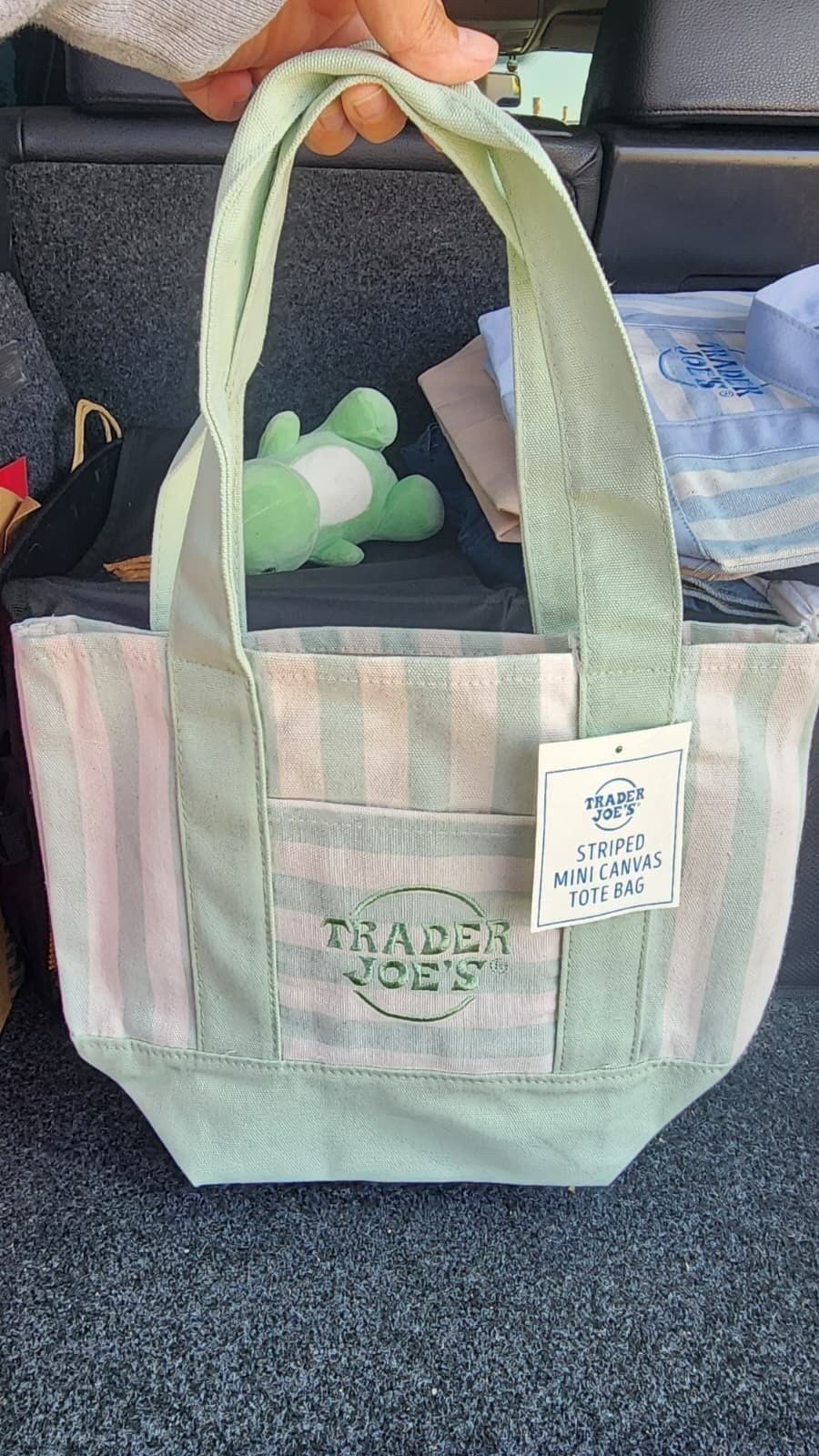 Limited Edition Trader Joe's Striped Tote in Green NWT