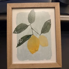 Hobby Lobby Botanical Wood Framed Wall Art Print Lemon Farmhouse 11x9x1 inches