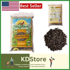 Wild Bird Food Oil Sunflower Seed 5LB Bag  High-Energy Bird Seed for All Birds