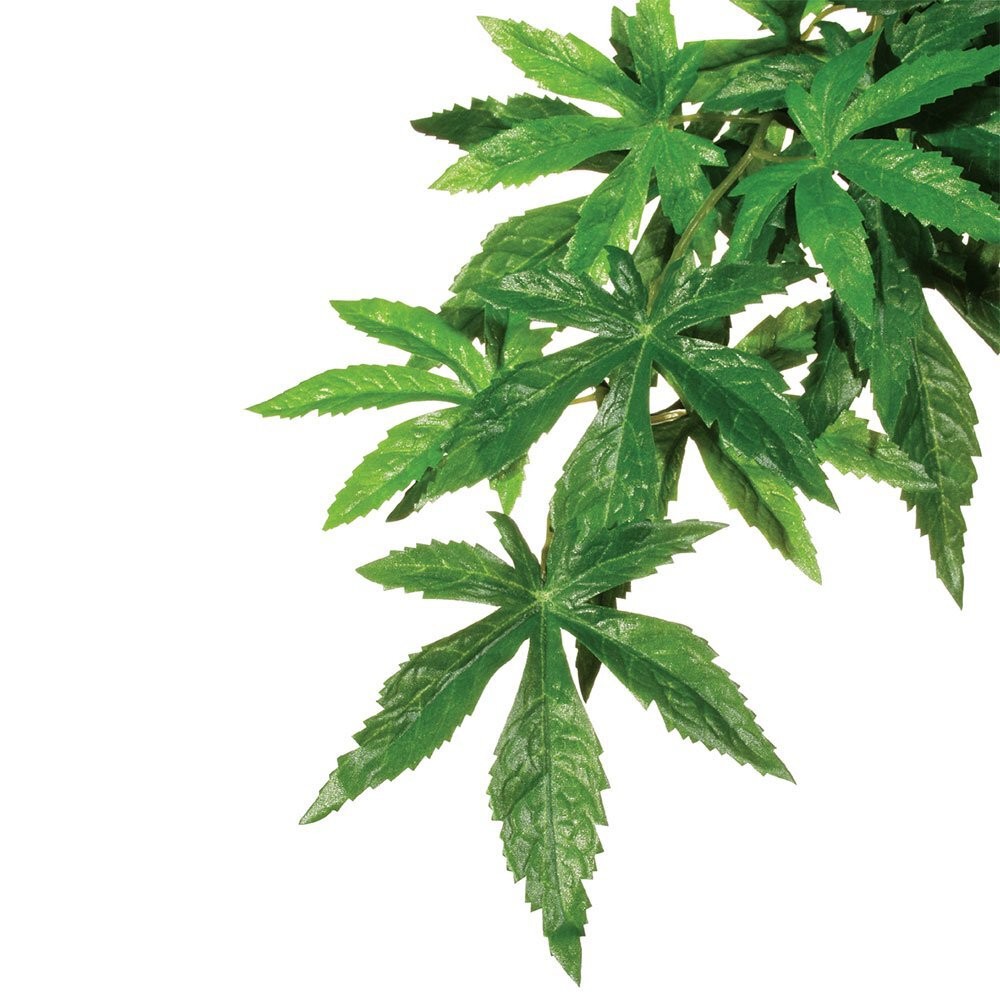 Exo Terra Reptile Decor Silk Abutilon Plants | Vivarium Decor