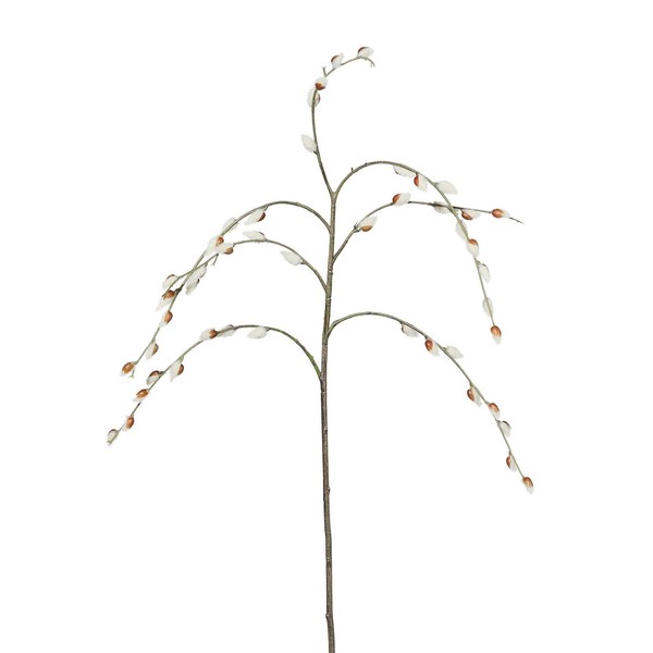 Kunstpflanze WeidenkäTzchen, 2Er Set, HöHe Ca. 84 Cm-image