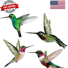 4-Pack Hummingbird Window Clings   Anti-Collision Bird Strike Decals for Glas...