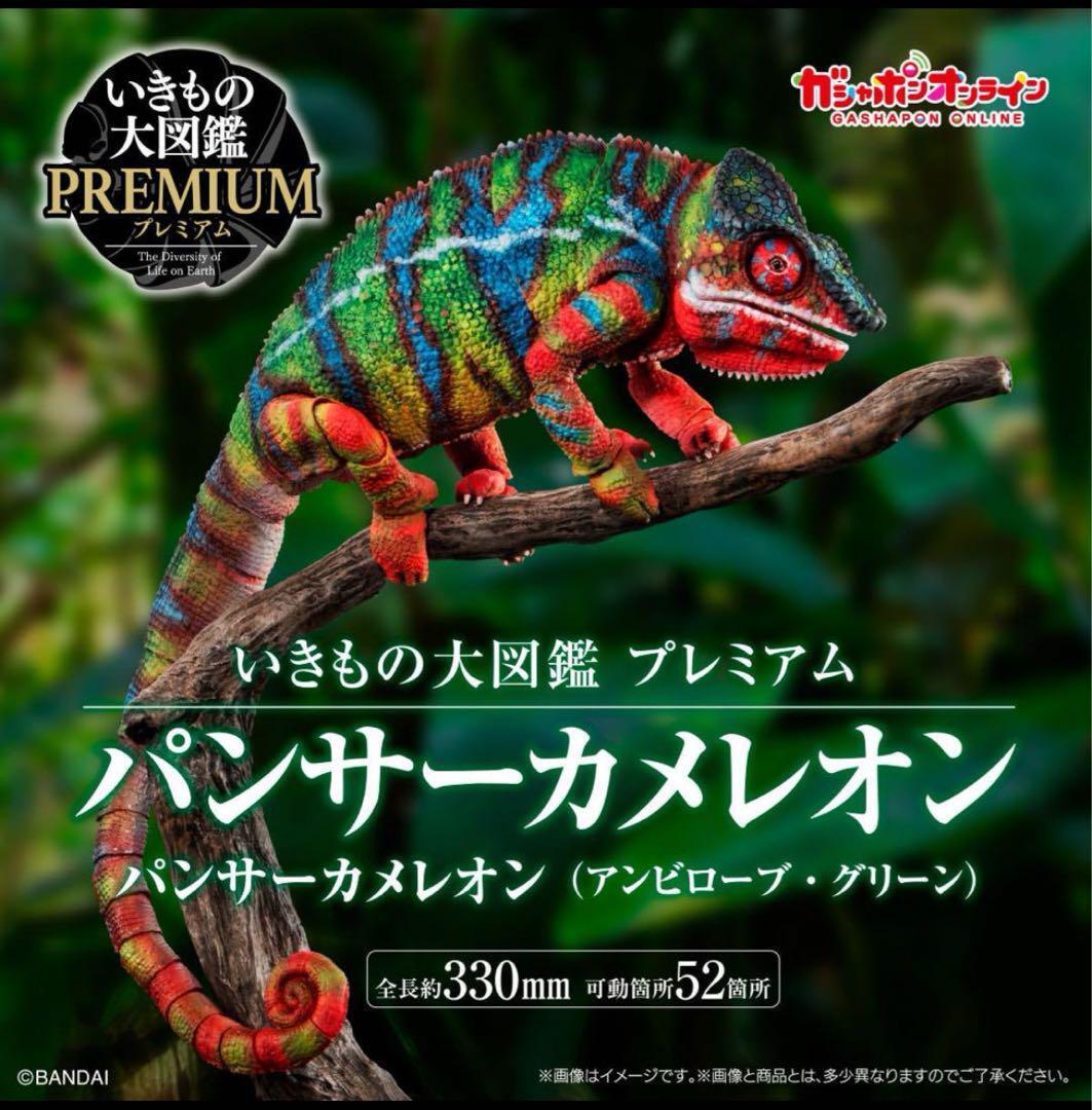 CHAMELEON LIFE 東京 amazarashi ① CHAMELEON LIFE 東京 amazarashi ① caption.jpg?w=900&h=500&s=1