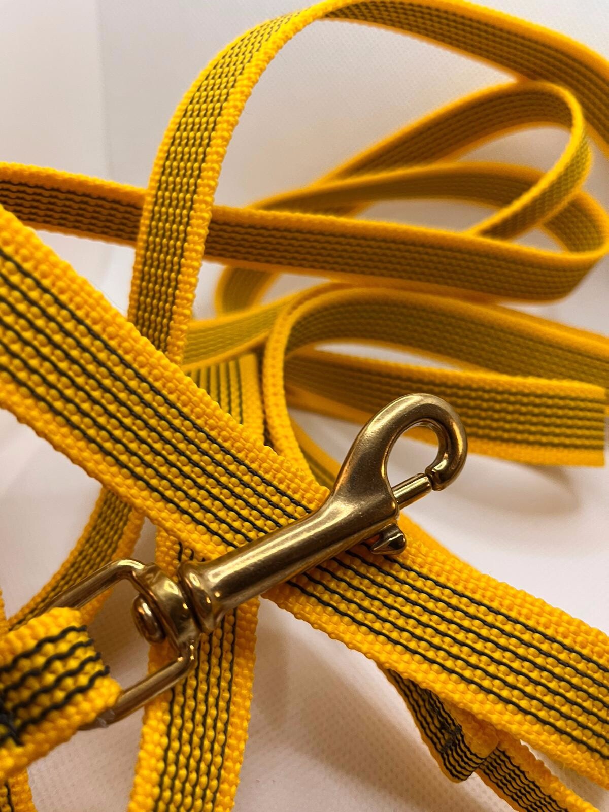 Guinzaglio 3m Impermeabile con Ottone - Ready for Adventure