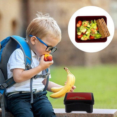 1 Stück gegrillter Aal über Reisbox tragbares Sushi praktisches Dessert