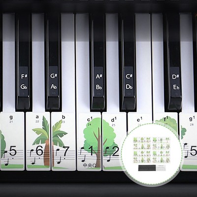 1Pack Electronic Orgel Tastatur Aufkleber Professional Piano Tastatur Aufkleber