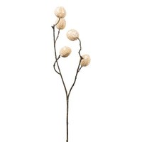 artplants KüNstlicher Zweig Walnuss Volter Mit FrüChten, Creme, 70Cm