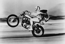American stunt rider Evel Knievel pulls a wheelie on his Harley Da- Old Photo