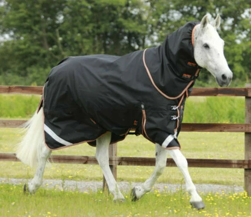 Premier Equine 6' 0" Size Horse Rugs