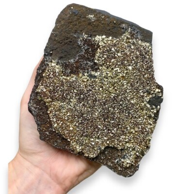 TENET - Pyrite on Raw Shungite NATURAL MINERAL 15-18 CM