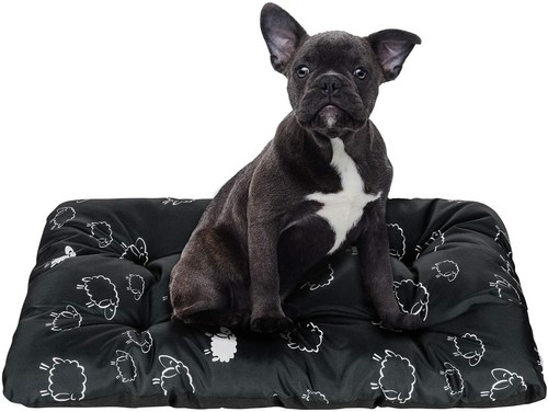 Cama Perro para Perros y Gato Impermeable Grande y Mediano Perros L, XL - Imagen 23 de 34