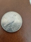 1921 $1 PEACE SILVER DOLLAR HIGH RELIEF UNCLEANED 1 OUNCE 1ST PEACE MADE KEY D — photo 4