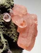 Cristales de rodocrosita sobre matriz. Mina Uchucchacua, Lima, Perú. 14 gramos.