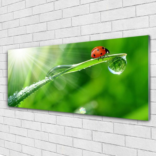 mpresson sur verre acrylque mage tableau 125x50 Nature Forêt
