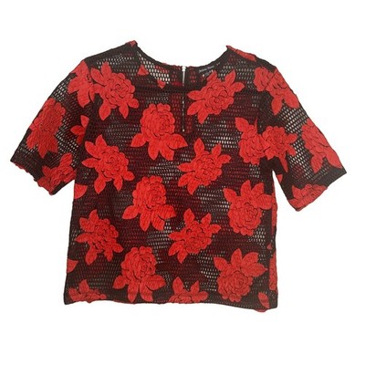 Black Red Sheer Cropped Fish Net Small Floral Rose Crop Tee Top Festival Chic