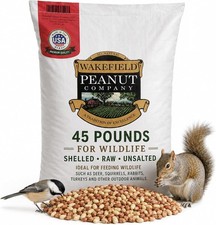 Wakefield Virginia Peanuts 45LB Bulk Bag Shelled Raw Unsalted for Squirrels Bird