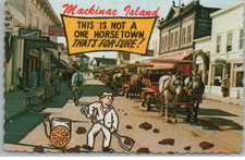 Vintage Postcard Horse Drawn Carriage This is not a one Horsetown MackinacIsland