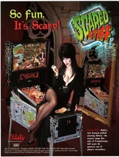 Elvira Scared Stiff Bally pinball machine flyer poster 1996 Mistress of the Dark