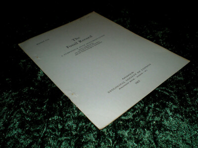   Reprinted from The Fossil Record, Chapter 5: Pteridophyta-2, Heft