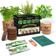 Indoor Herb Garden Starter Kit, 5 Non-GMO Herb Seeds - Basil, Parsley, Rosema...