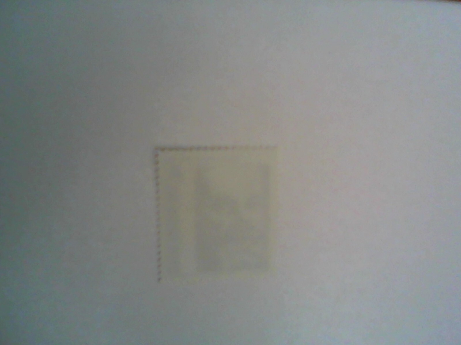 Foto 7 di 9
