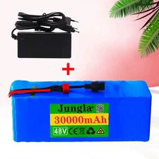 48V 30Ah 13S3P Li-ion Rechargeable Battery Pack With Charger With BMS