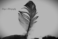 Digital image picture photo hand holding feather black and white photo by Paige