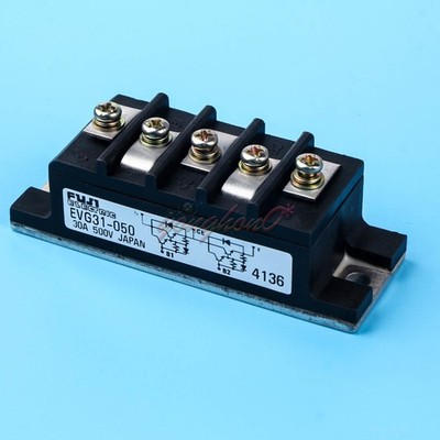 NEW 1PCS EVG31-050 MODULE EVG31050 *hh