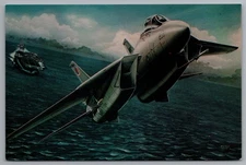 Grumman F-14 Tomcat U.S. Navy Jet Fighter Vintage Photochrome Postcard