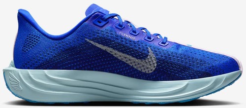 Nike Pegasus Plus CM Men display picture 1