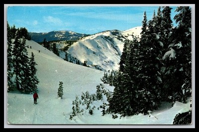 THE HURRICANE RIDGE SKI AREA, OLYMPIC NATIONAL PARK, WASHINGTON Old Postcard G8