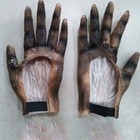 Foto 11 di 19